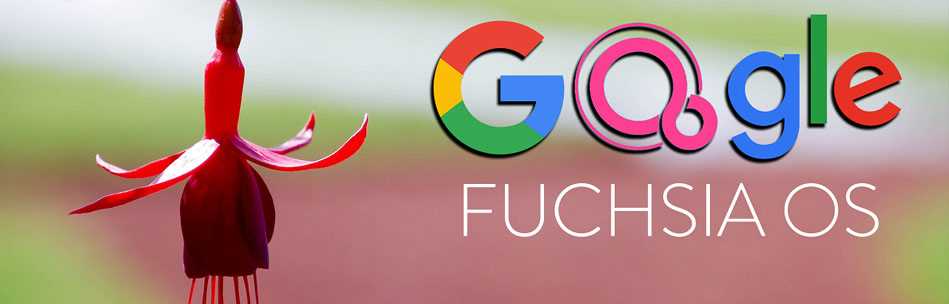 Google Fuchsia - дата выхода, новости и слухи Google Fuchsia - дата выхода, новости и слухи